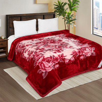 Double bed blanket price hotsell